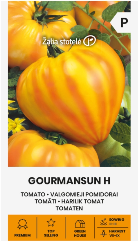 Pomidor Gourmansun H o bardzo licznych owocach nasiona 5 Žalia stotelė sklep rajogrodnika